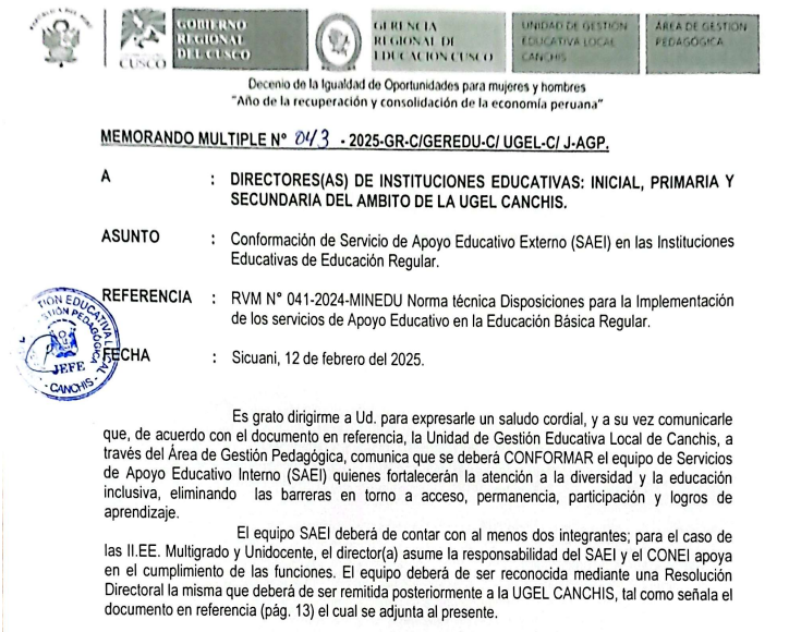 Conformación de Servicio de Apoyo Educativo Externo (SAEI) en las Instituciones Educativas de Educación Regular.